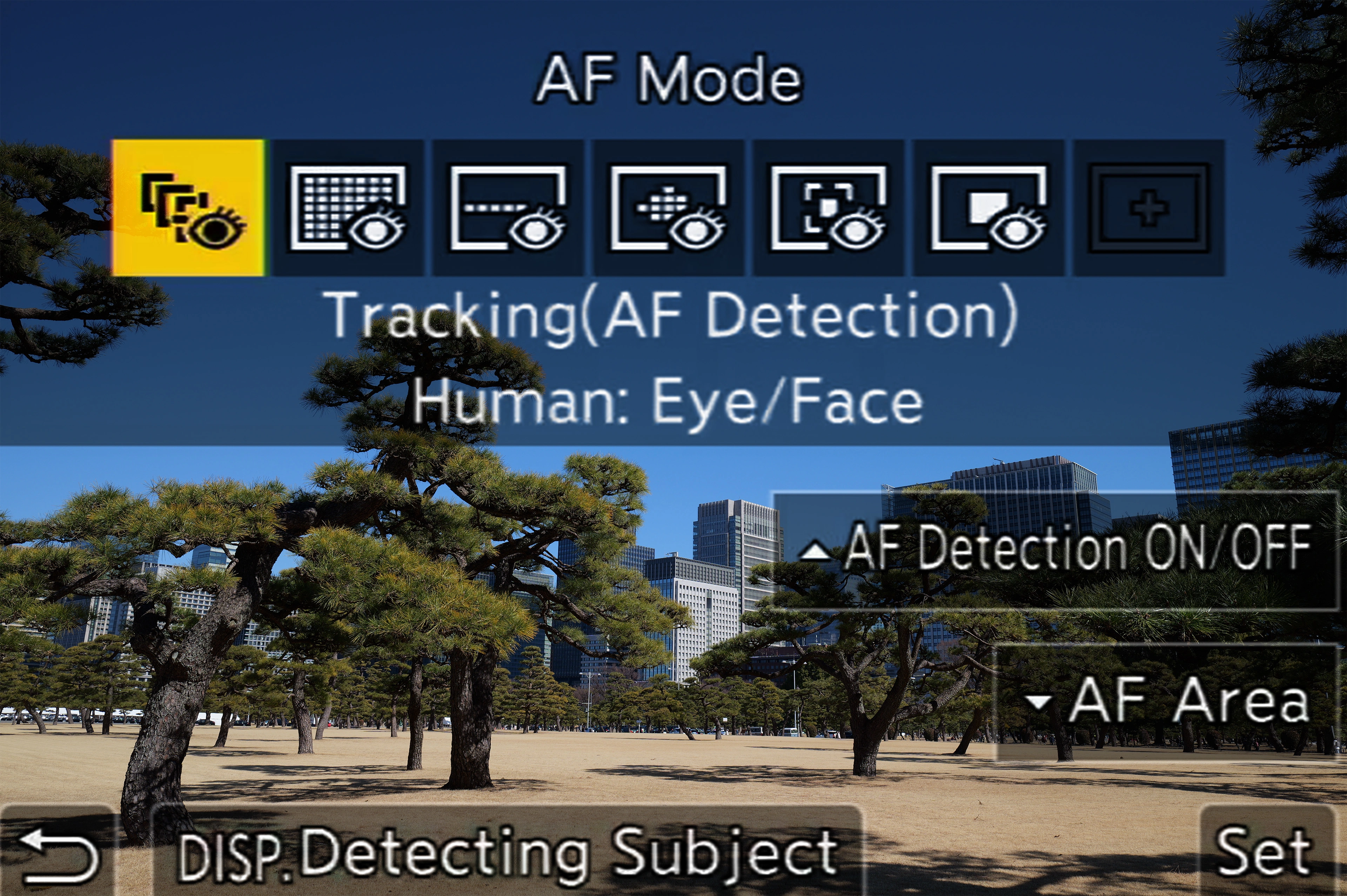 DPReview、アップデート後のPanasonic Lumix DC-S1RIIのオートフォーカスを再評価
